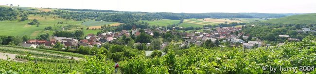 Panorama von Hfnerhaslach