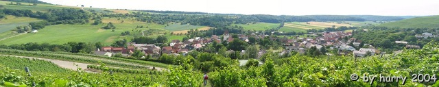 Panorama Hfnerhaslach