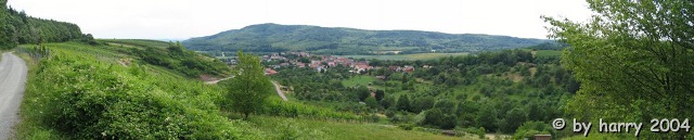 Panorama von Ochsenbach
